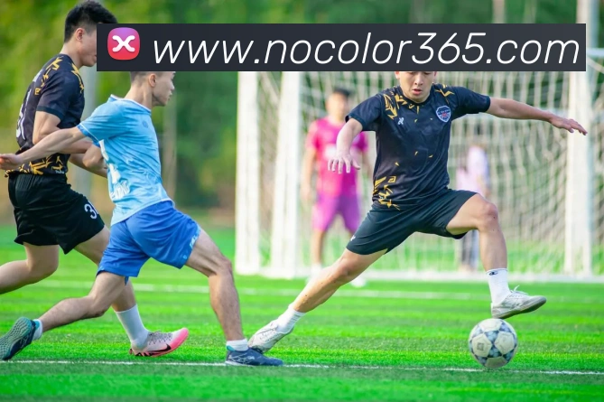 华体网sports全站App